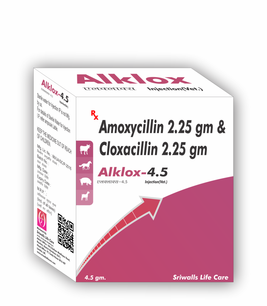 Veterinary Amoxycillin & Cloxacillin Injection