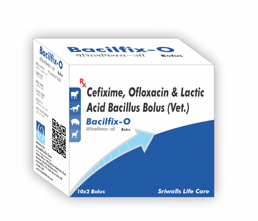 Veterinary Cefixime, Ofloxacin & Lactic Acid Bacillus Bolus