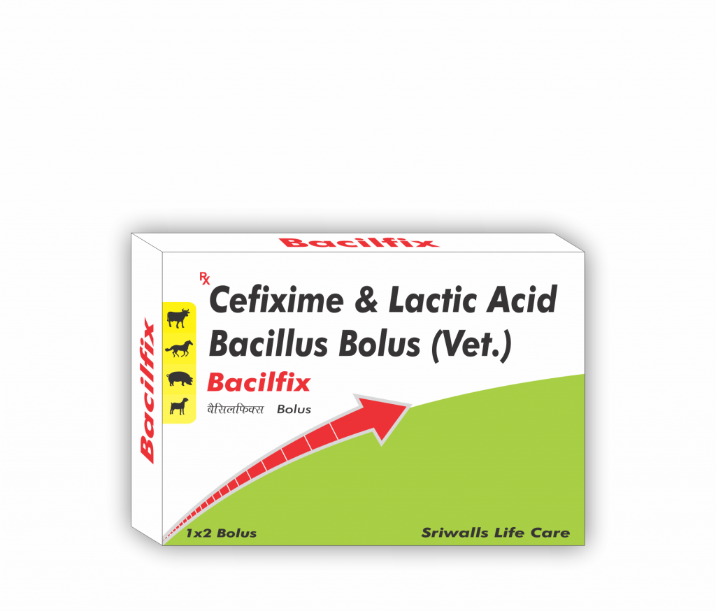 Veterinary Cefixime & Lactic Acid Bacillus Bolus