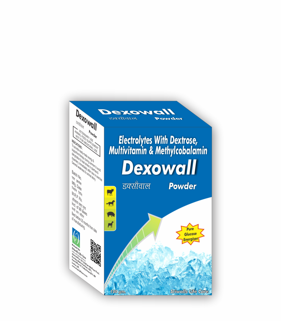 Veterinary Electrolyte Dextrose Powder