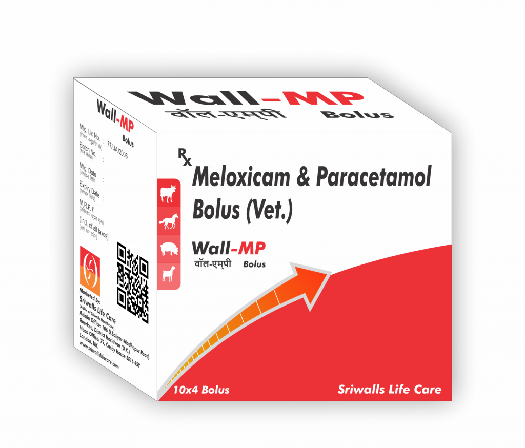 Meloxicam & Paracetamol Veterinary Bolus