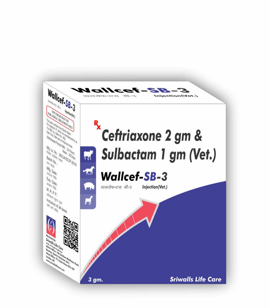 Veterinary Ceftriaxone 2 gm & Sulbactam 1 gm Injection