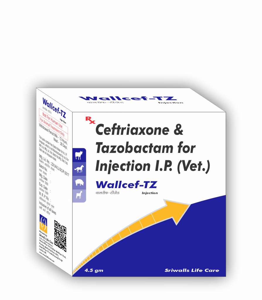 Veterinary Ceftriaxone 4000 mg & Tazobactam 500 mg Injection