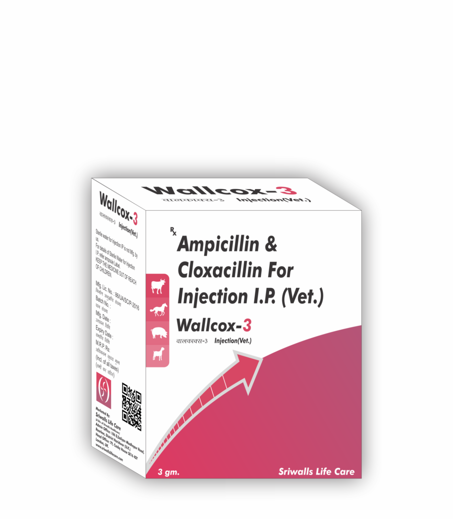 Veterinary Ampicillin 1.5 gm & Cloxacillin 1.5 gm Injection