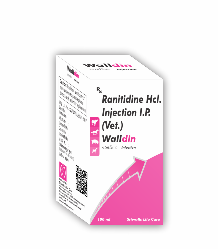 Veterinary Ranitidine100 ml
