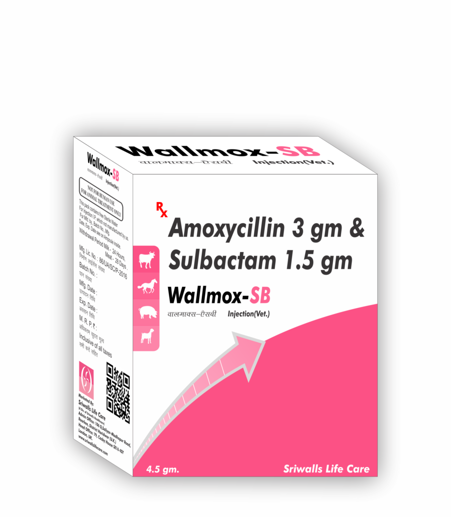 Veterinary Amoxycillin 3 gm & Sulbactam 1.5 gm Injection