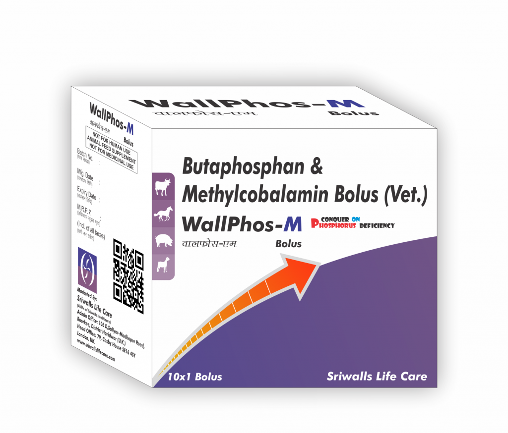 Butaphosphan & Methylcobalamin Veterinary Bolus