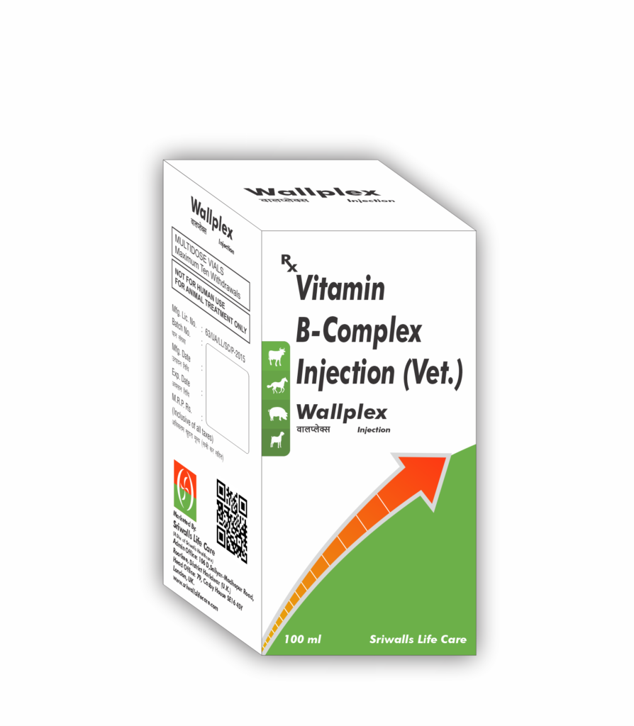 Veterinary B-Complex 100 ml Injection