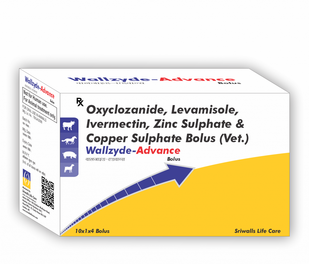 Oxyclozanide, Levamisole, Ivermectin, CuSO4 & ZnSO4 Veterinary Bolus