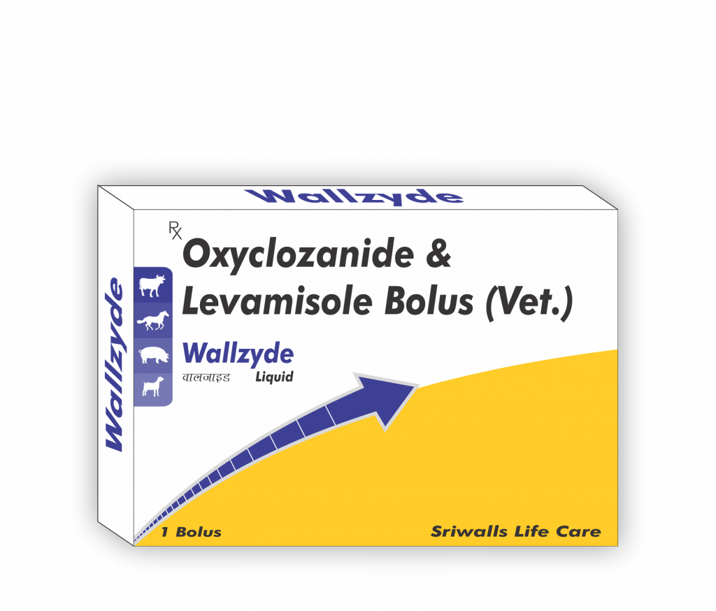 Oxyclozanide & Levamisole Veterinary Bolus